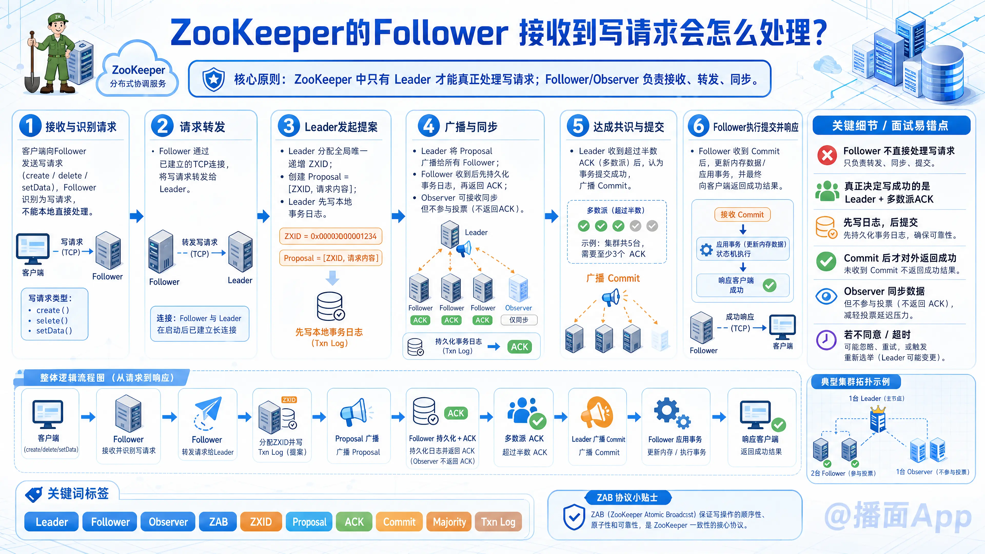 知识点图片
