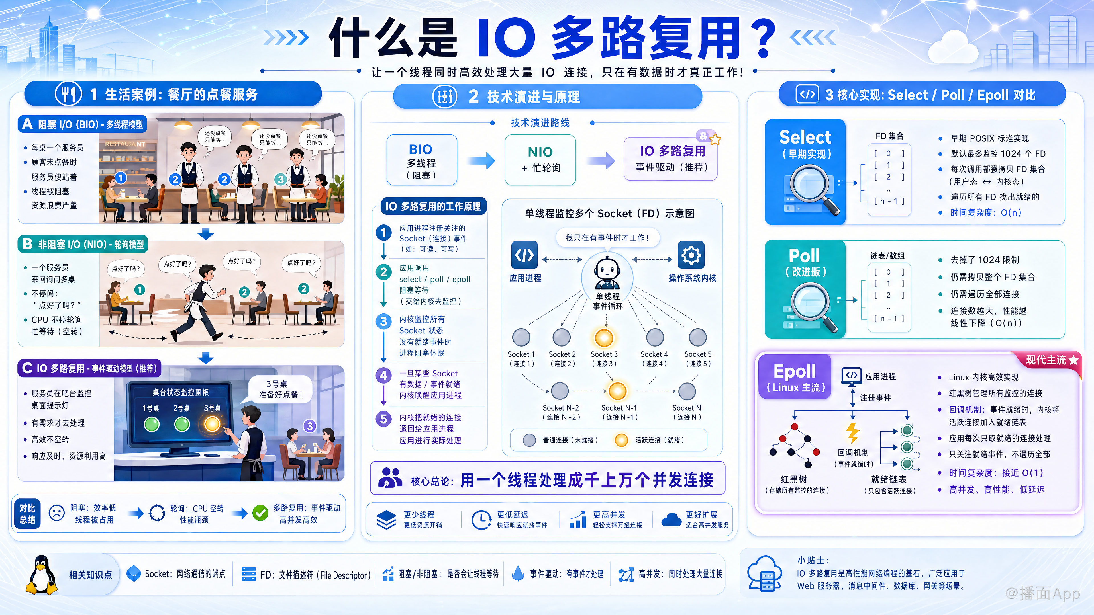 知识点图片